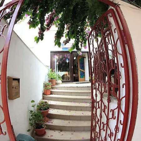 Ivanka Mali Losinj